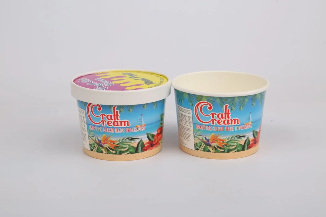 6oz Disposable Ice Cream Paper Cups with Dome Lids or Flat Lids and Spoon